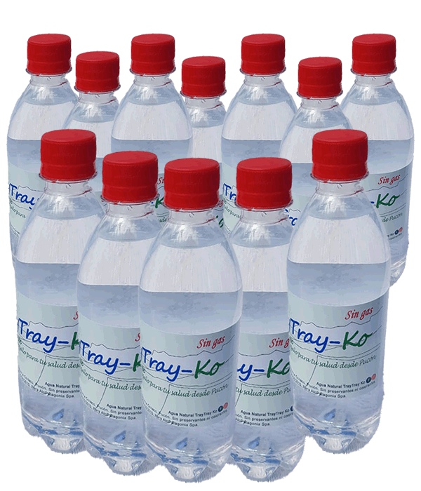 PACK DE 12 X 500ml SIN GAS